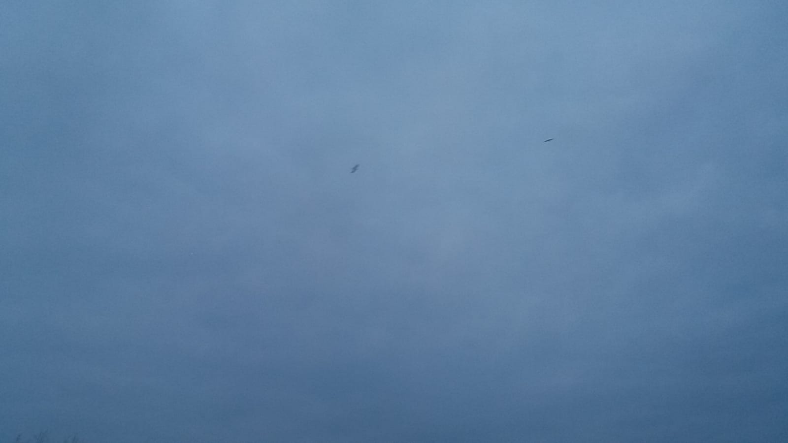 DOBROGEA. Cer temporar noros și condiții de ploaie