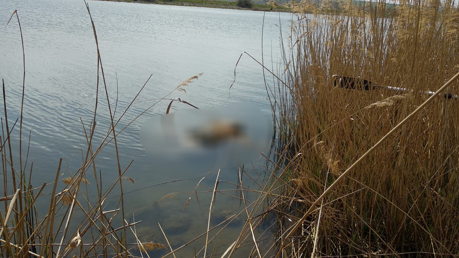 CONSTANȚA: Un bărbat a fost găsit decedat în Canalul Dunăre-Marea Neagră