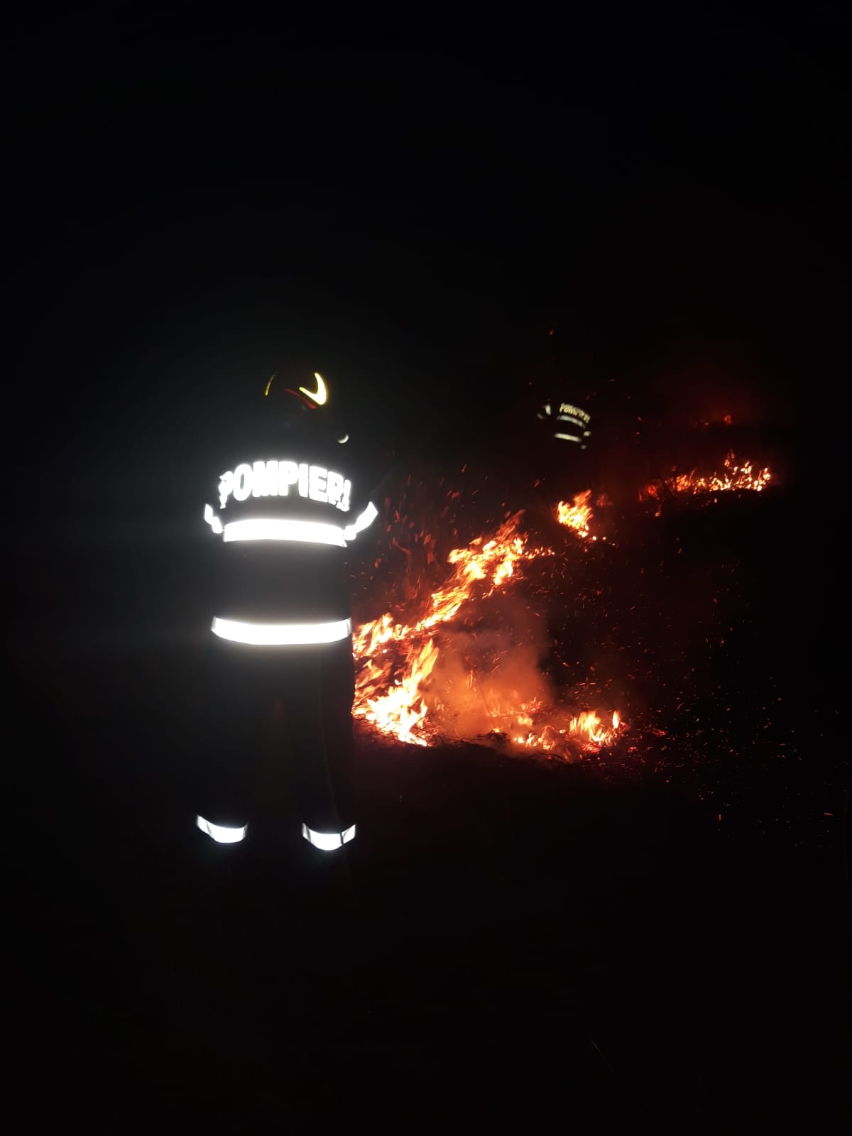 TULCEA. Arde vegetația uscată de la Carcaliu