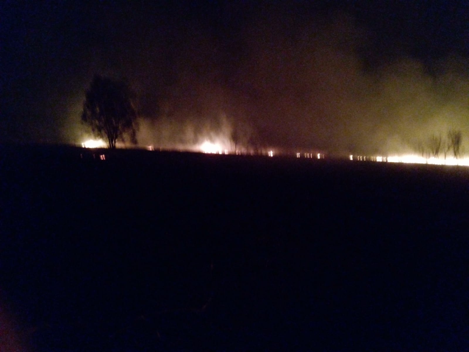 Atenţionare de călătorie în Grecia! Risc ridicat de incendii de pădure