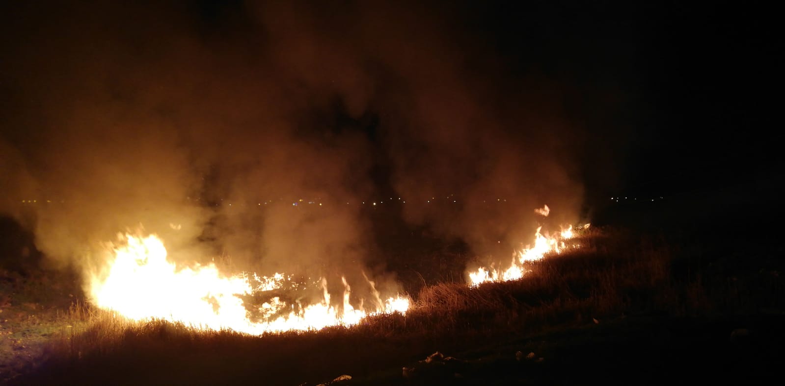 CONSTANŢA: Incendiu de vegetaţie uscată în localitatea Lumina
