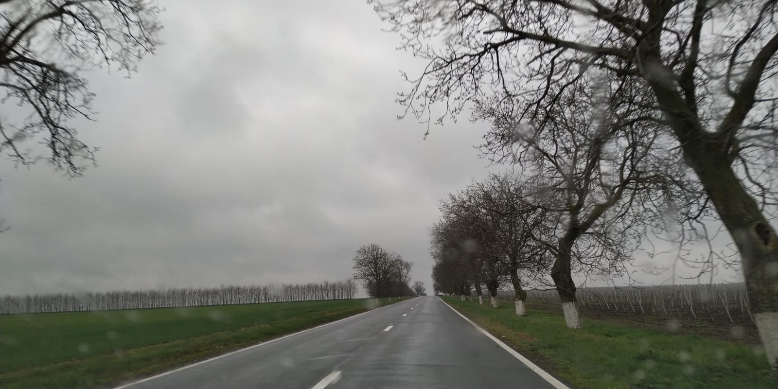 Cod galben de ploi însemnate cantitativ în aproape jumătate de țară; ninsori la altitudini mari
