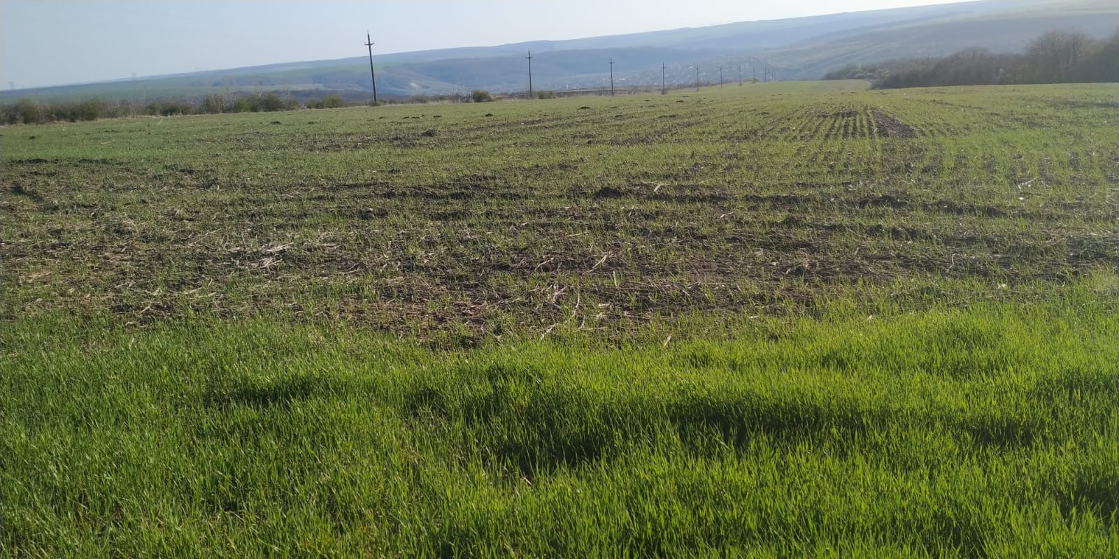 Alte peste 3.300 de terenuri agricole din patru comune din județul Constanța au fost înregistrate în evidențele de cadastru și carte funciară