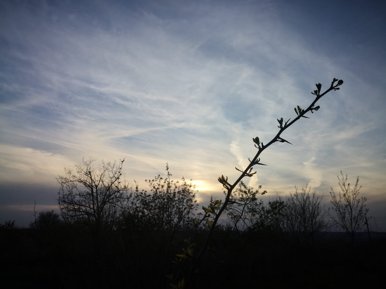 Vreme caldă, dar instabilă în Dobrogea