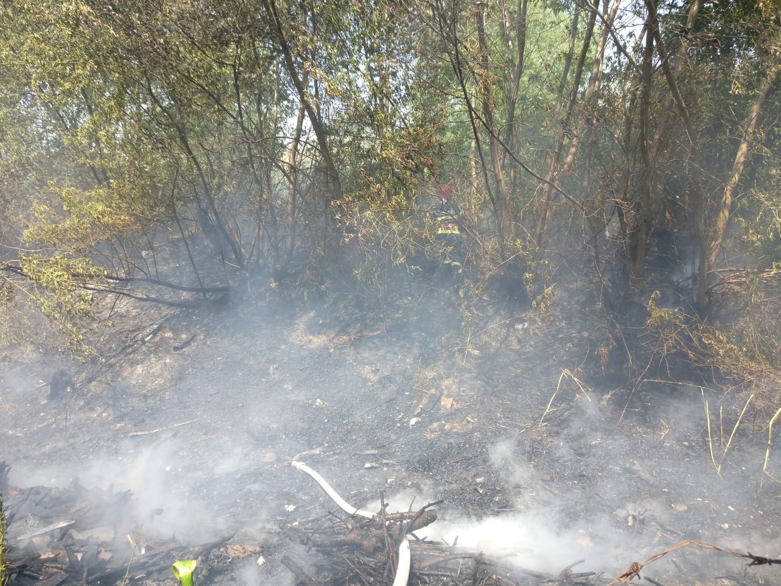 TULCEA: Incendii în zona industrială de la periferia municipiului – FOTO/VIDEO