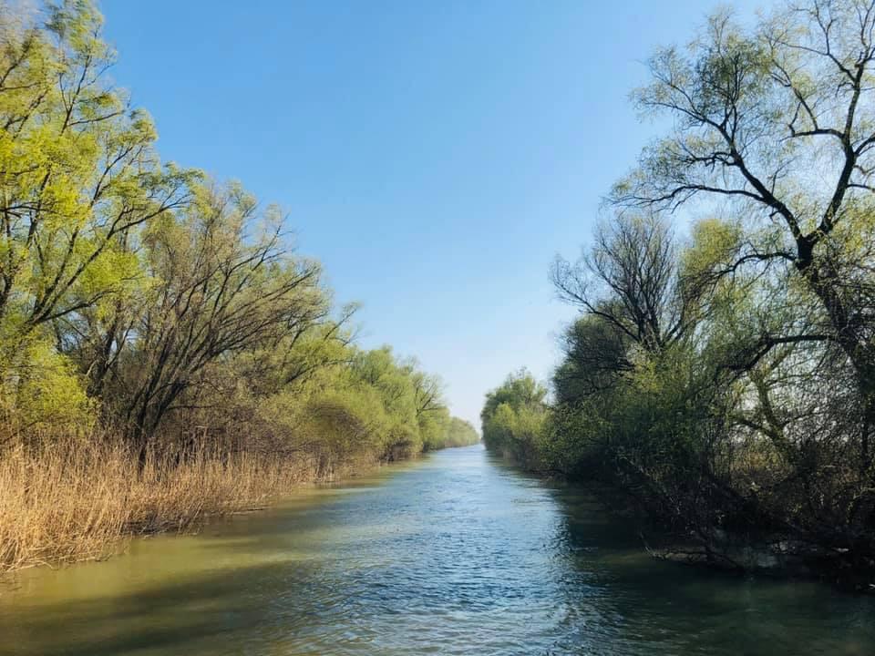 TULCEA: Demersuri pentru decolmatarea unor canale din Deltă, iniţiate de autorităţi