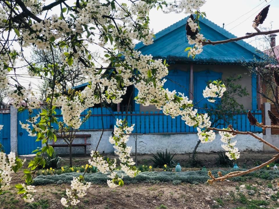 INTERVIU | Punctele Gastronomice Locale completează cu succes oferta pensiunilor din Deltă