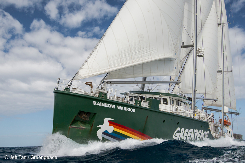 Rainbow Warrior vine în România pentru a atrage atenția asupra cauzelor schimbărilor climatice – FOTO