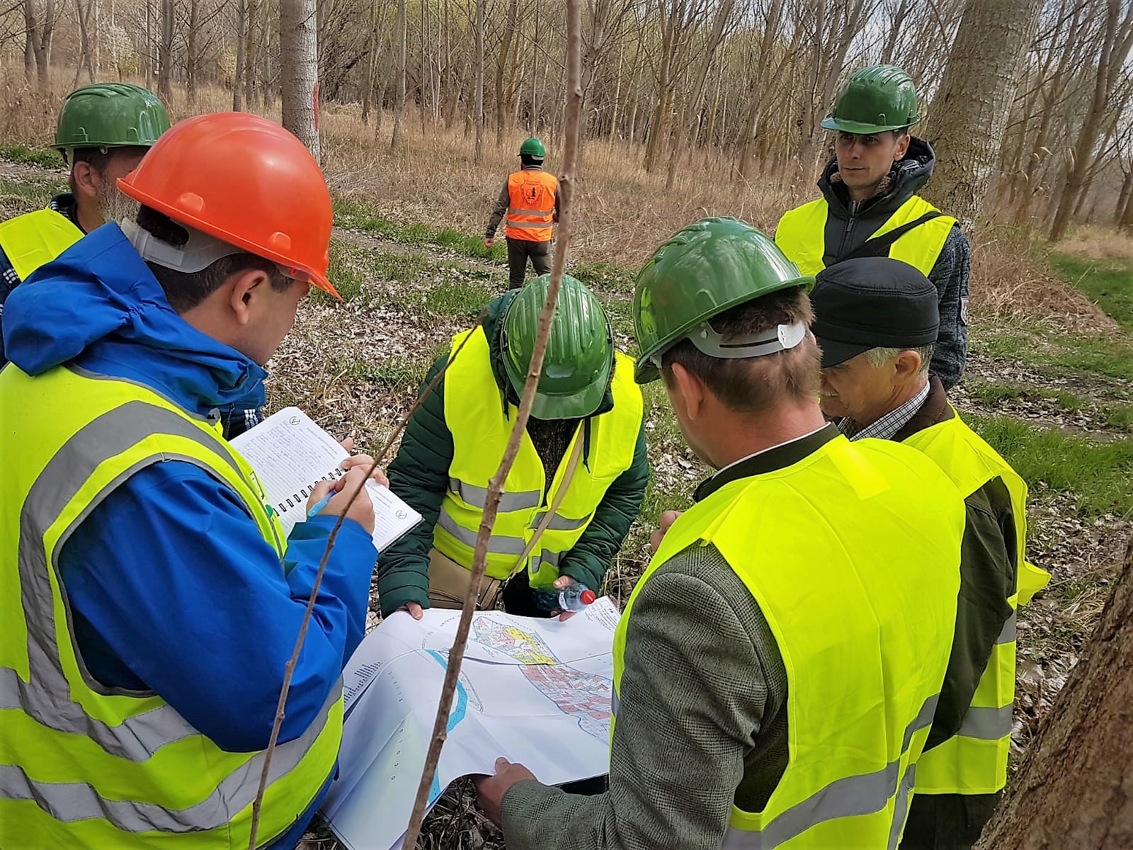 Standardul de certificare a managementului forestier al Romsilva reconfirmat de auditori