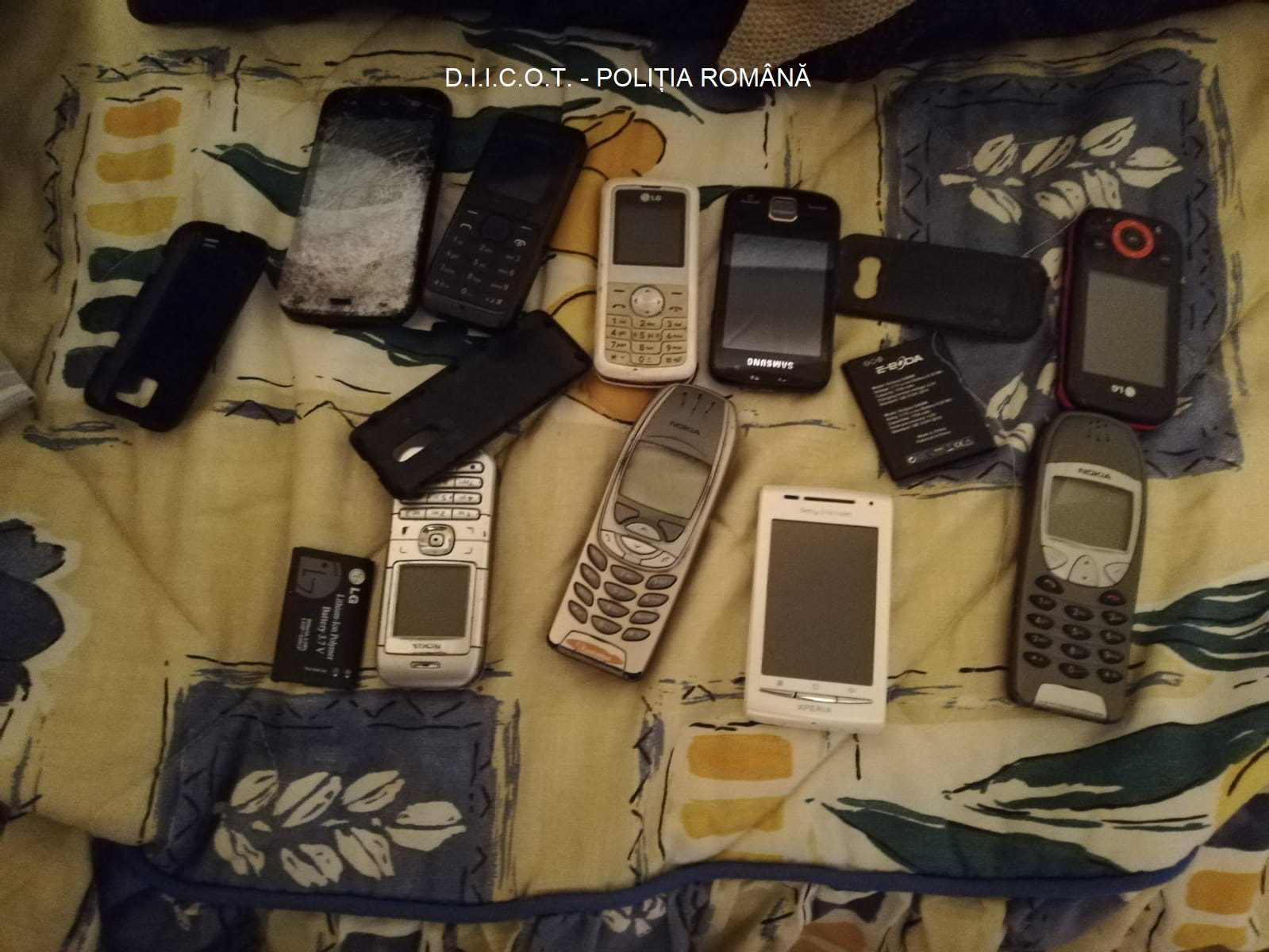 CONSTANȚA: Percheziții domiciliare la mai mulți suspecți de fraudă informatică FOTO/VIDEO