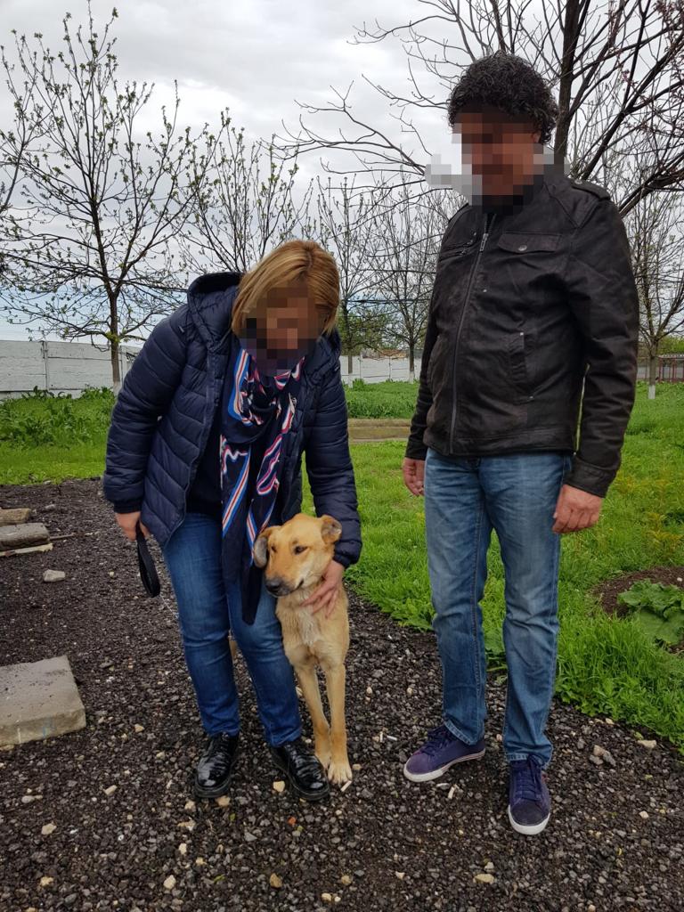CONSTANȚA: 18 câini au fost adoptați din Adăpostul pentru animale fără stăpân – FOTO