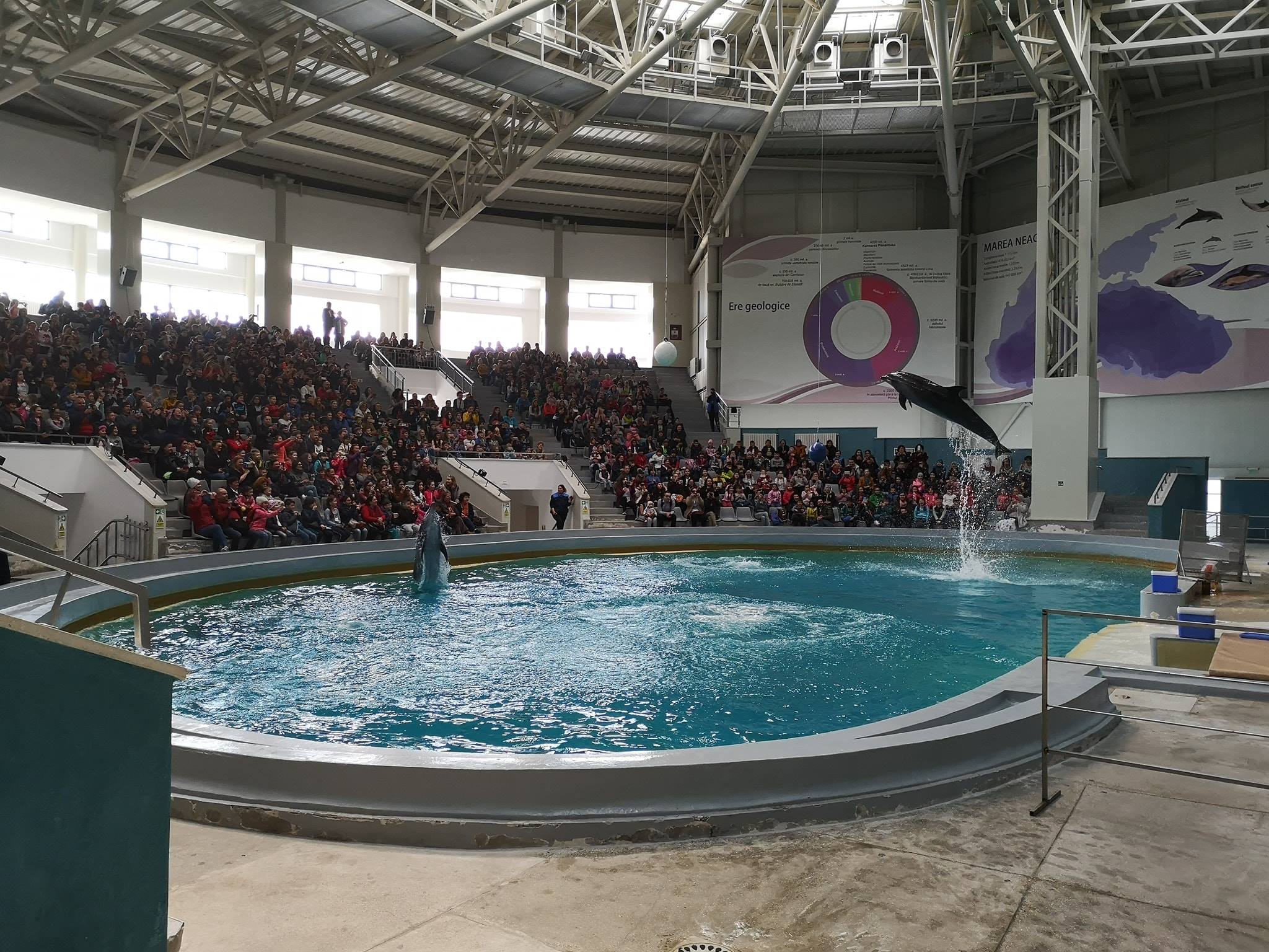 Delfinariul din Constanţa se pregăteşte să-şi redeschidă porţile, după o perioadă în care spectacolele au fost suspendate