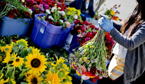 TULCEA: Zeci de comercianţi din ţară participă la târgul Expoflora