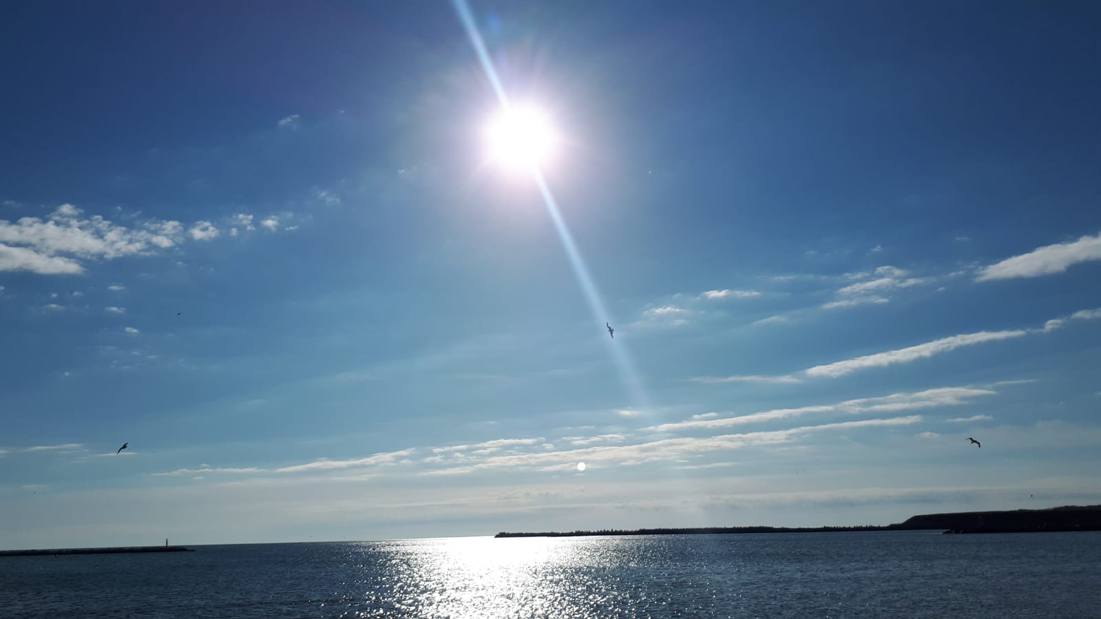 Vreme caniculară în Dobrogea. Partea continentală a regiunii se află sub Cod galben