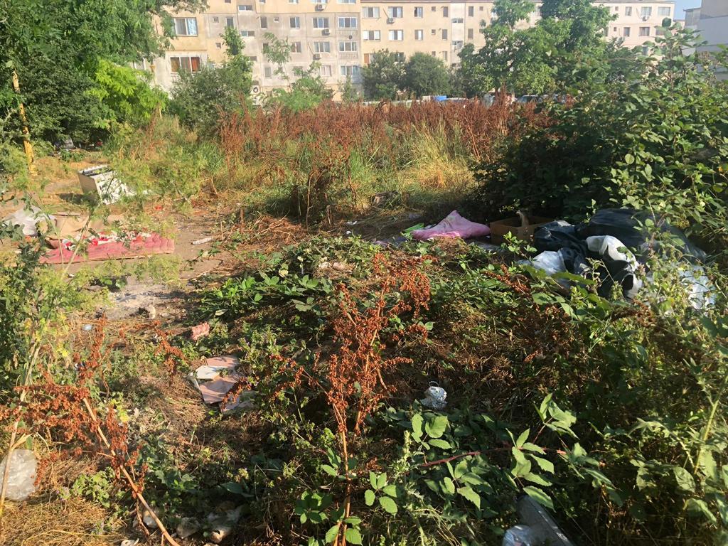 Poliția Locală: „Tot mai mulți constănțeni consideră strada un mare coș de gunoi“