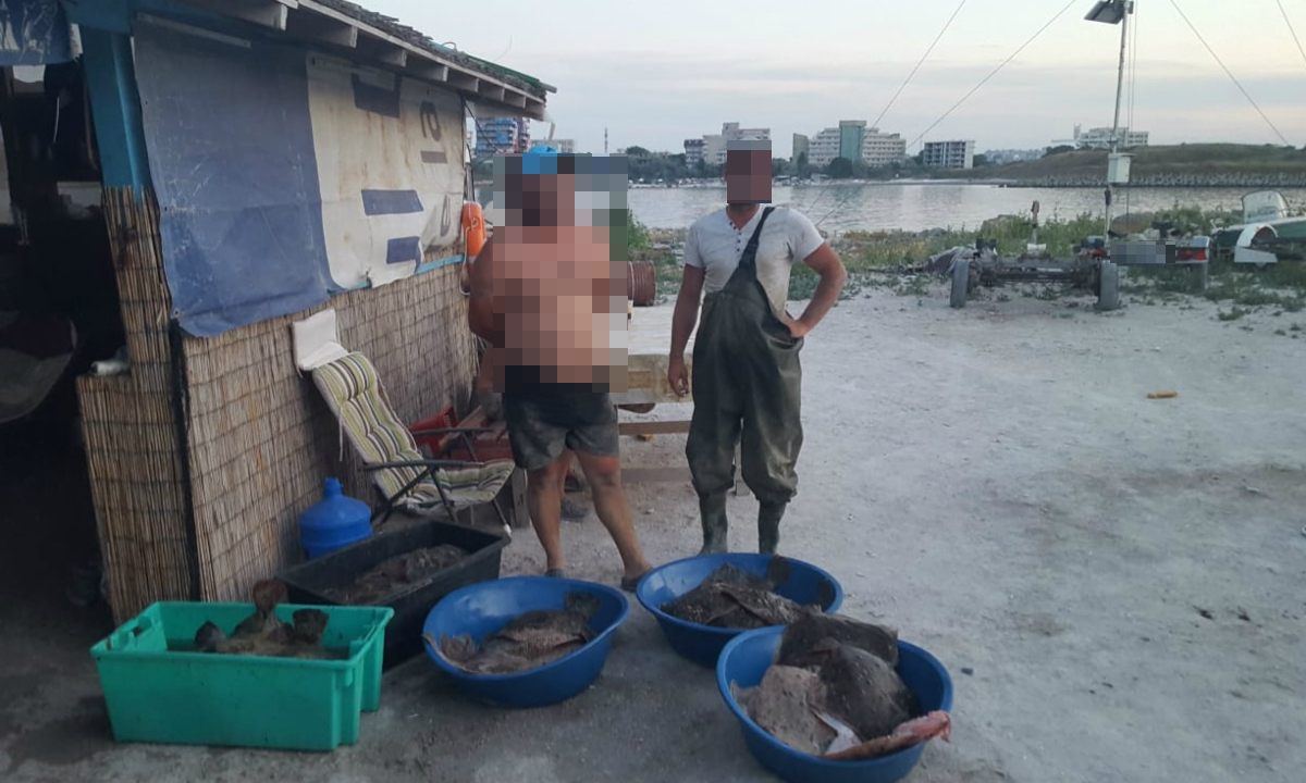 CONSTANȚA: Peste 200 de kilograme de calcan confiscate de poliţiştii de frontieră
