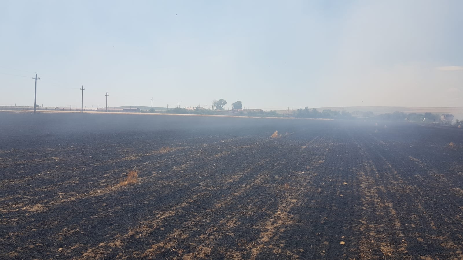 BAIA: Mai multe hectare de miriște, cuprinse de flăcări – FOTO