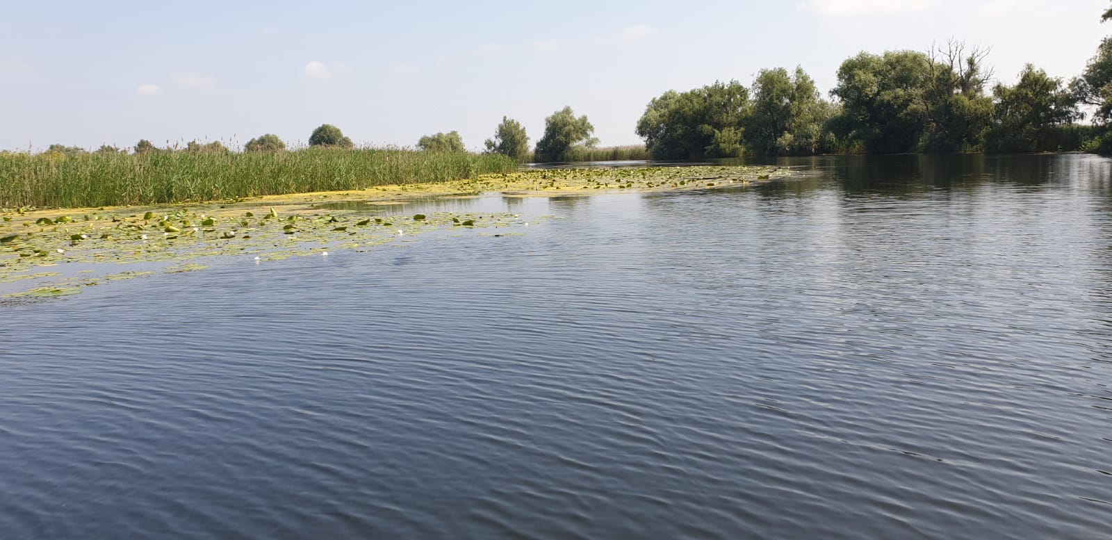 TULCEA: Proiect pentru conservarea biodiversității în zona Sărături Murighiol