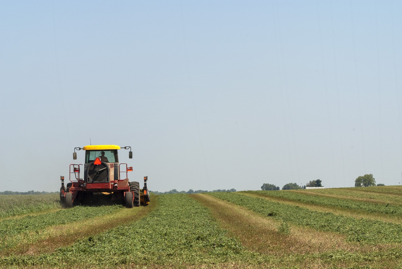 Ideea afacerilor de familie a prins foarte bine în agricultura românească. La nivel national, sunt 700 de mii de astfel de activități înființate