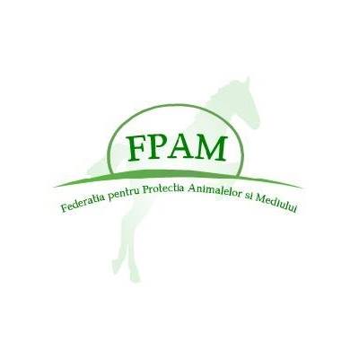 Federația pentru Protecția Animalelor și Mediului îi dă replica lui Mohammad Murad: „Nu faceţi din animalele fără stăpân motiv de neplată a datoriilor către stat!“
