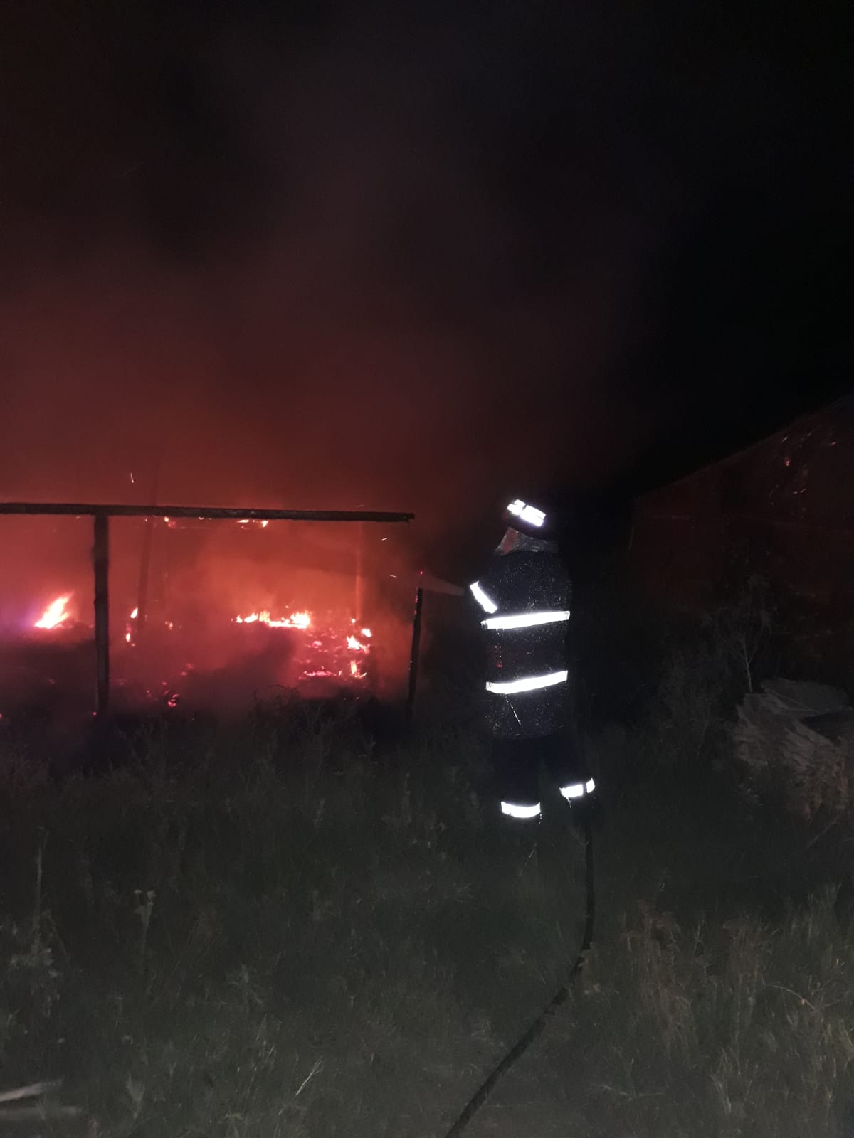 Județul TULCEA: Un adăpost pentru animale, cuprins de flăcări – FOTO