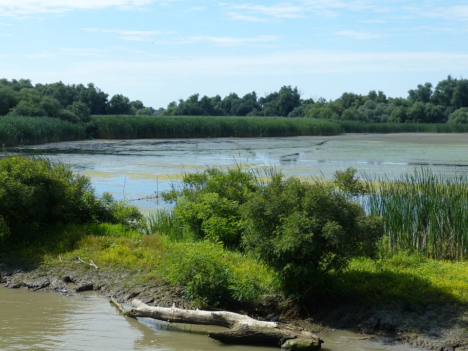 Cod galben de intensificări de vânt în Delta Dunării