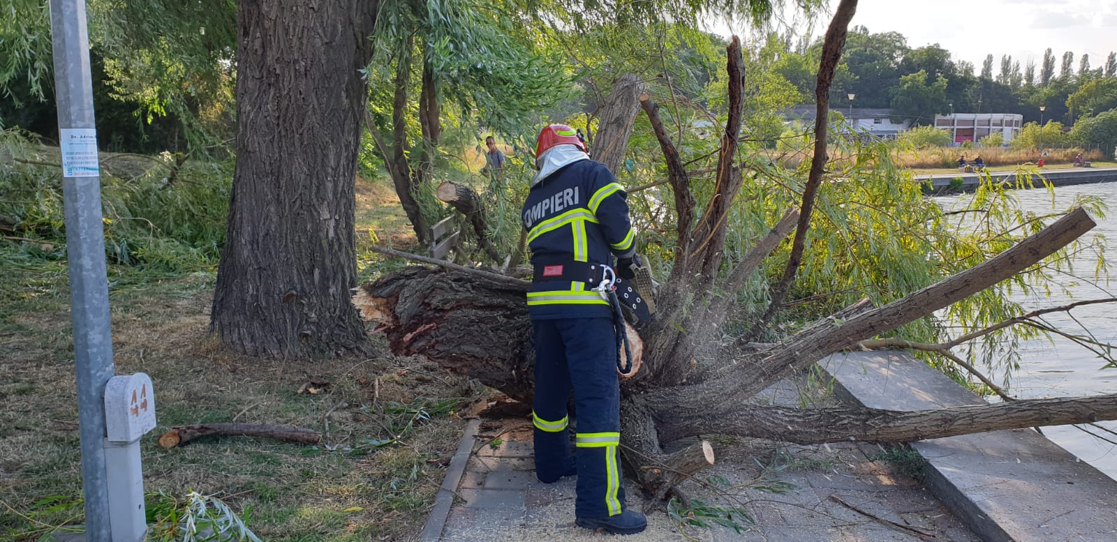 TULCEA/FOTO: O femeie a fost rănită de creanga unui copac care a căzut pe banca pe care stătea