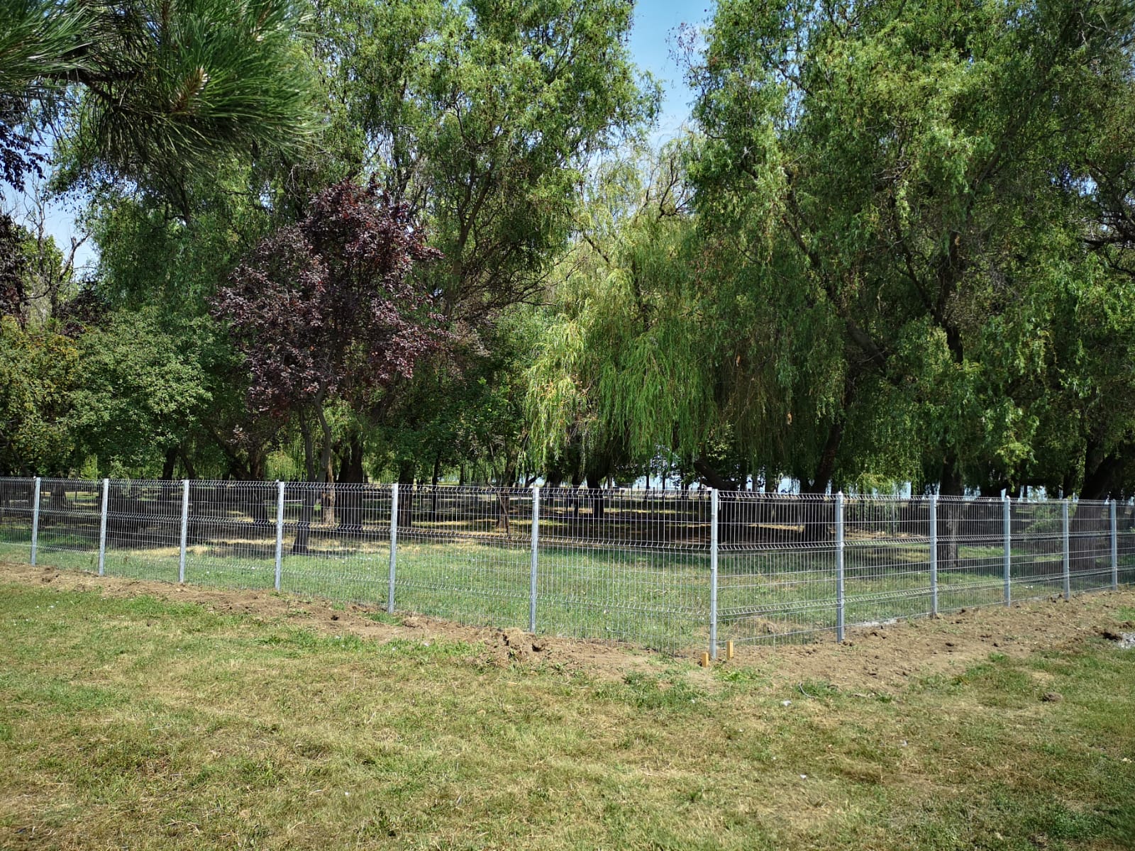 CONSTANȚA: Țarcul pentru câini din parcul Tăbăcărie este aproape gata – FOTO