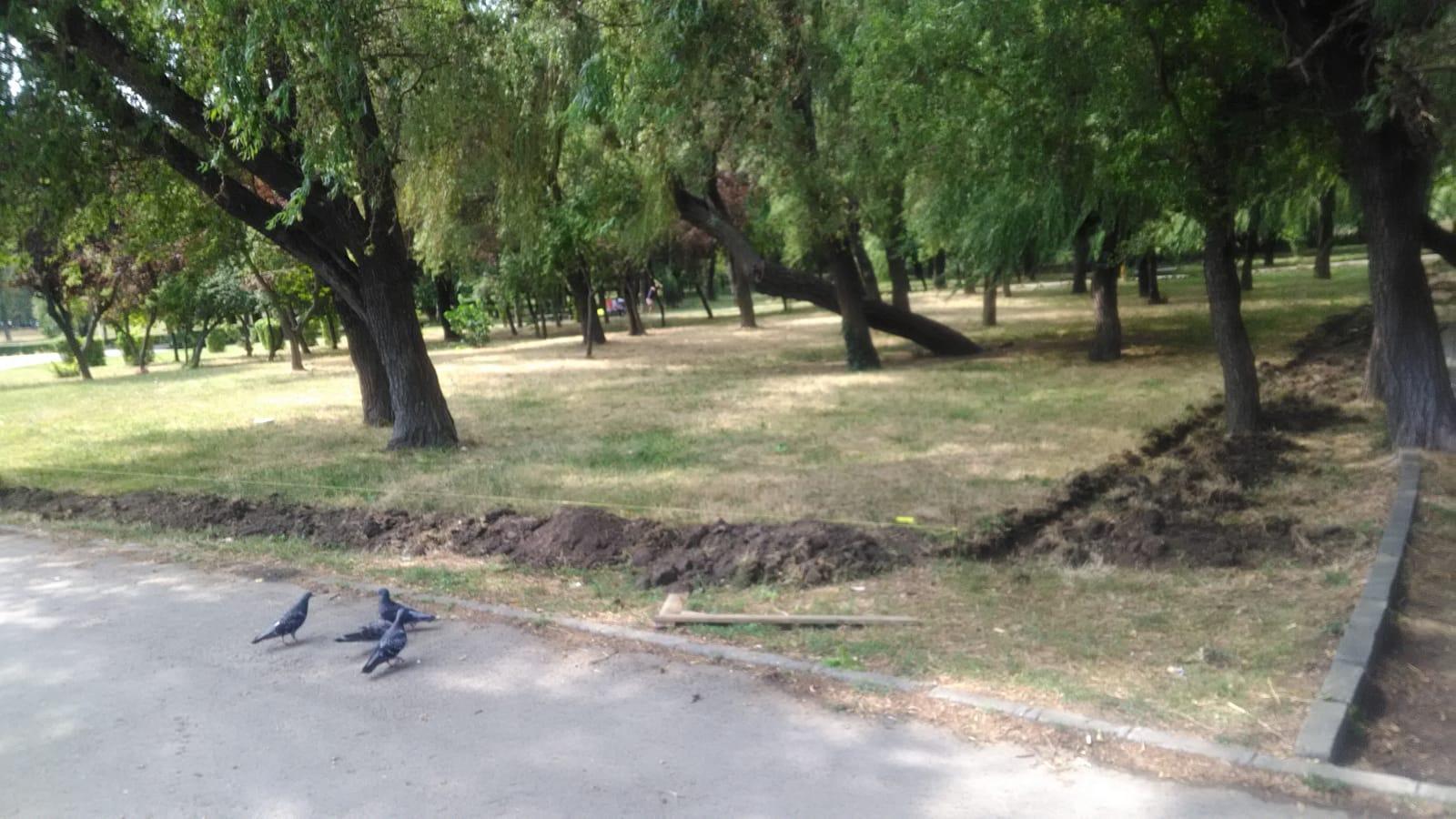 CONSTANȚA: Noi spații destinate câinilor cu stăpân