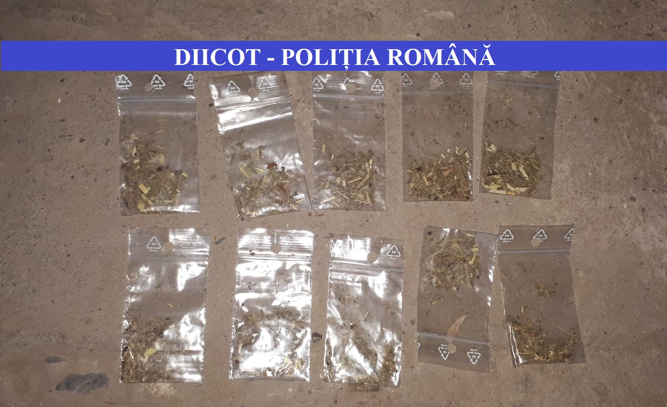 Grupare infracţională de trafic cu droguri de risc, destructurată