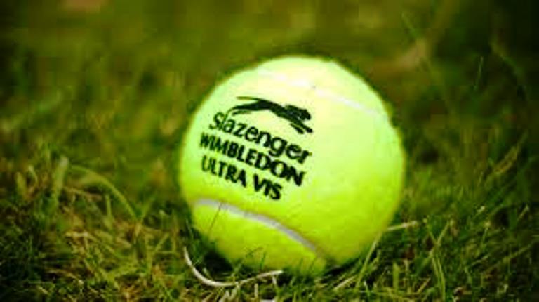 Deși a pierdut primul set, Monica Niculescu o învinge pe Andrea Petkovic la Wimbledon