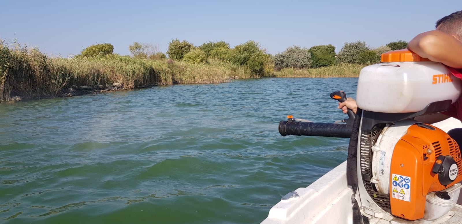 CONSTANȚA: Primăria a intensificat acțiunile de dezinsecție și pe lacul Siutghiol – FOTO/VIDEO