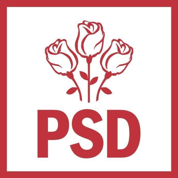CEx al PSD a validat mai multe propuneri de miniştri: Gârbovan – Justiţie, Valeca –Educaţie, Fifor –Interne (surse)