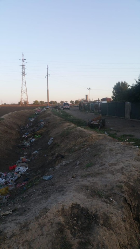 NĂVODARI: Acțiuni de protest împotriva măsurii evacuării zonei Depozit lemne din localitate