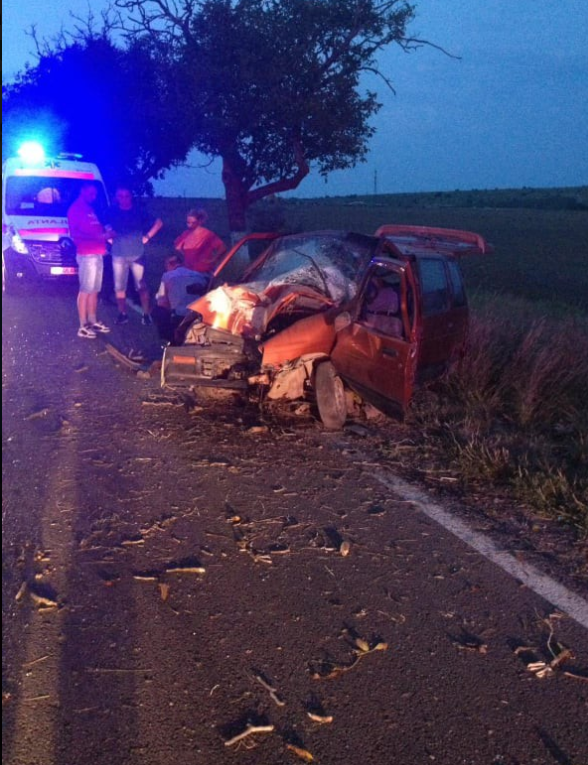 TULCEA: Bărbat rănit grav după ce a intrat cu mașina în copac. Nu deținea permis de conducere
