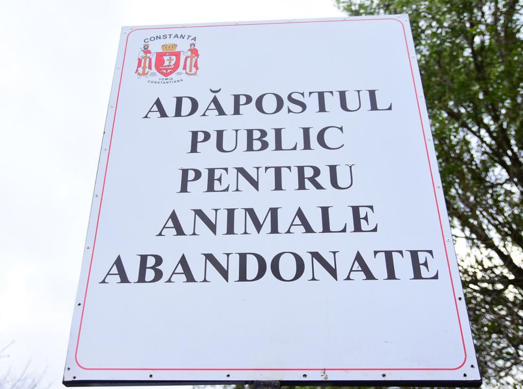 CONSTANȚA: Adăpostul pentru animale abandonate, închis pentru igienizare
