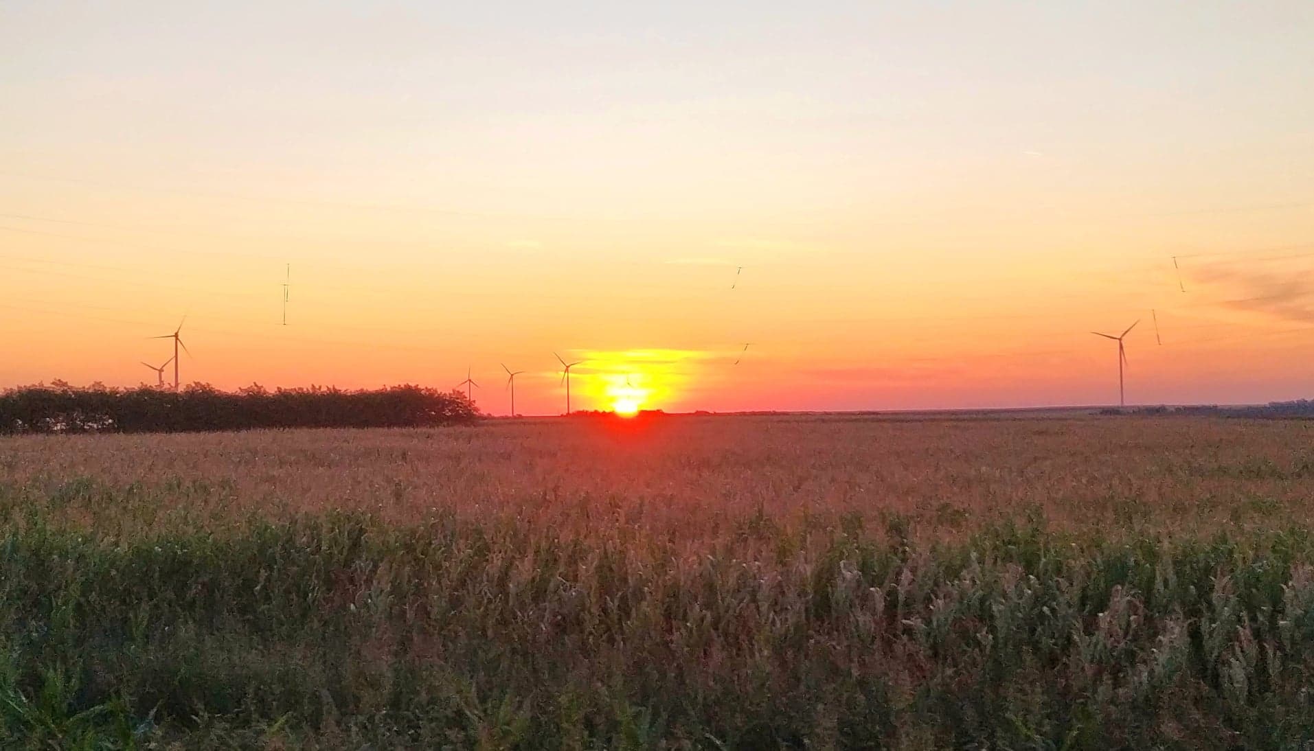 Vreme frumoasă și caldă în Dobrogea