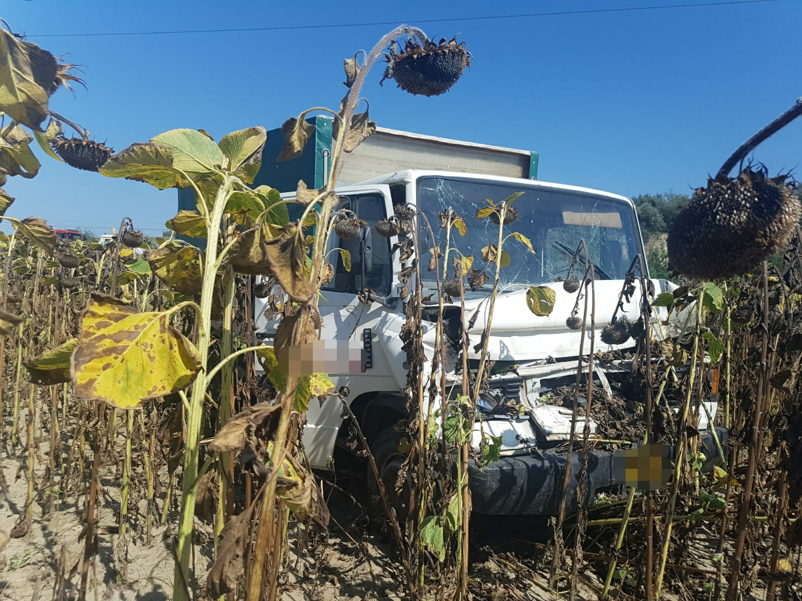 TULCEA: A fost activat Planul Roșu de Intervenție, în urma unui grav accident produs pe DJ 222F, Ostrov-Daeni. 14 persoane se aflau în autovehicul – FOTO/VIDEO