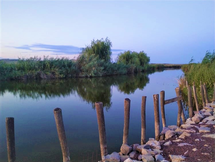 TULCEA: Asociaţia Delta Dunării vrea să înființeze prima organizaţie județeană de management al destinaţiei turistice