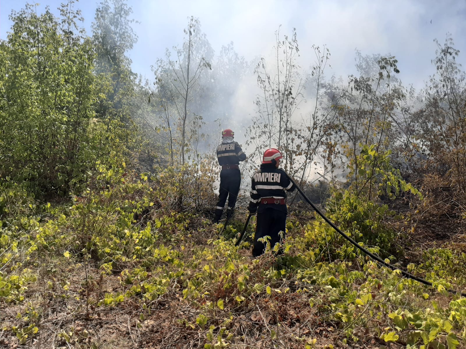 Trei incendii în 45 de minute, în județul Tulcea FOTO