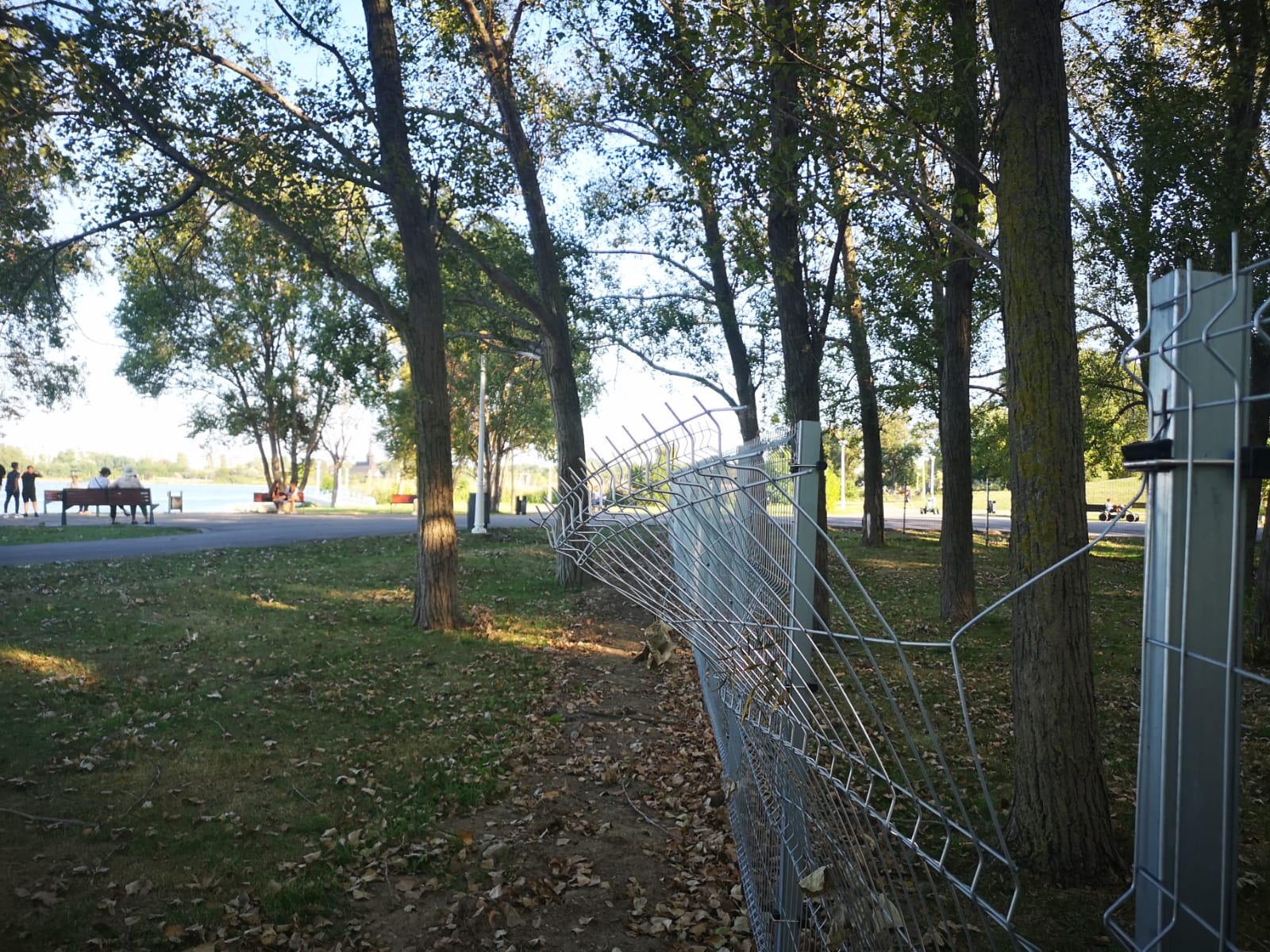 FOTO: Țarcurile pentru câini din Parcul Tăbăcărie au fost vandalizate