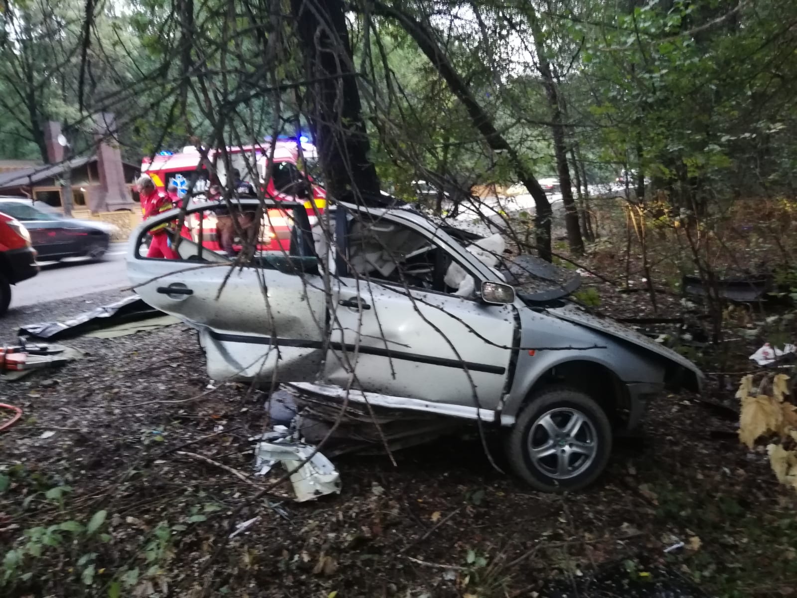 Județul CONSTANȚA: Un bărbat a murit după ce a intrat cu mașina într-un copac – FOTO