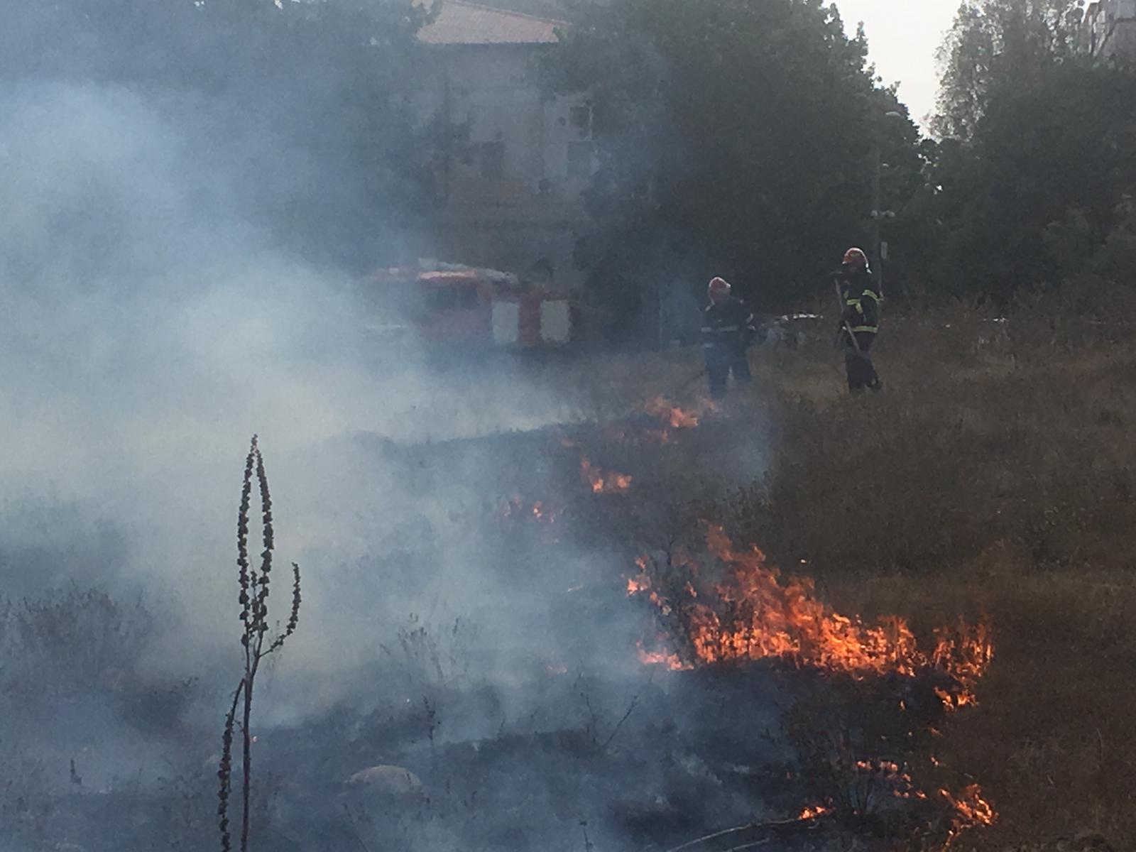 FOTO – Incendiu de vegetație într-un cartier din Tulcea