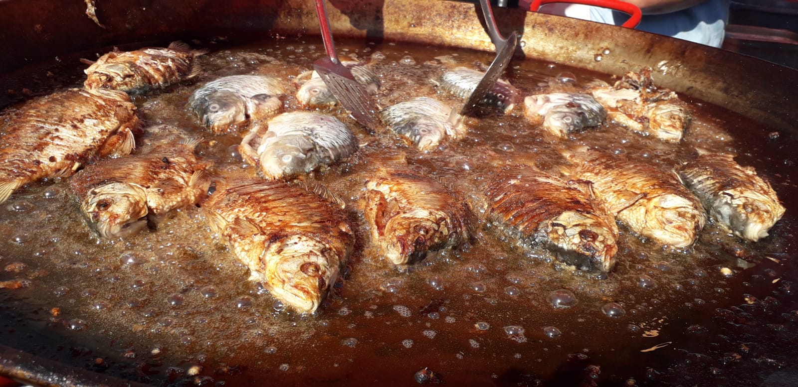 CONSTANȚA: Festivalul Tradițiilor și Gastronomiei Pescărești, programul de vineri