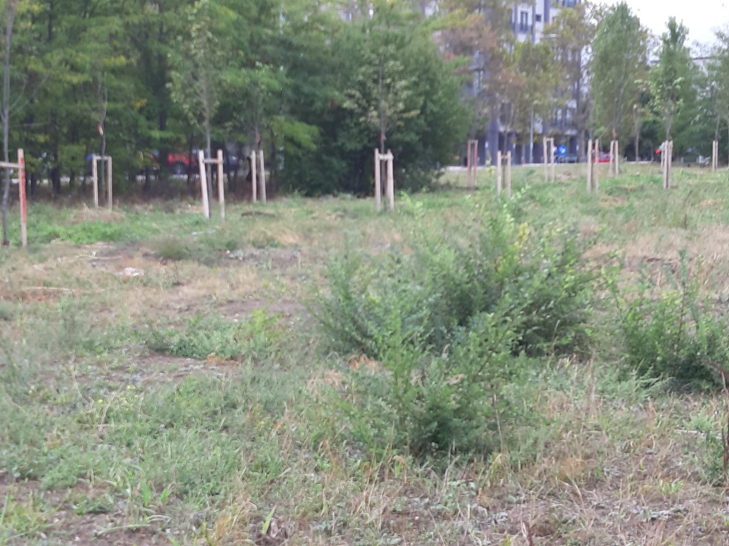 CONSTANŢA: A născut singură, la marginea oraşului. DGASPC caută soluţii să o ajute