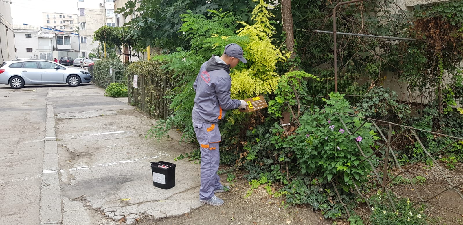 CONSTANȚA: Au fost reluate acțiunile de deratizare – FOTO