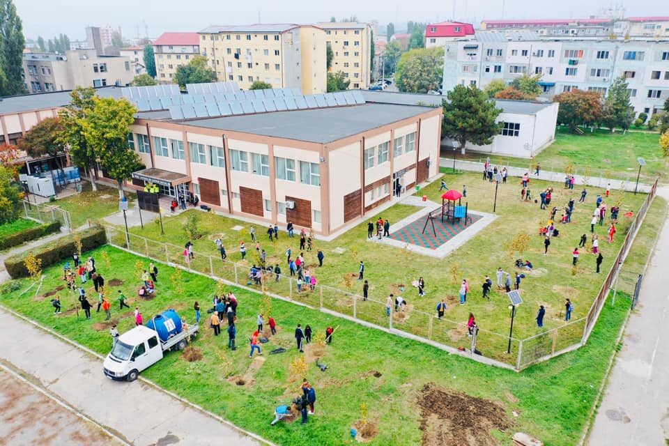 ”NĂVODARI, oraș VERDE”, o nouă campanie inițiată de Primăria orașului – FOTO