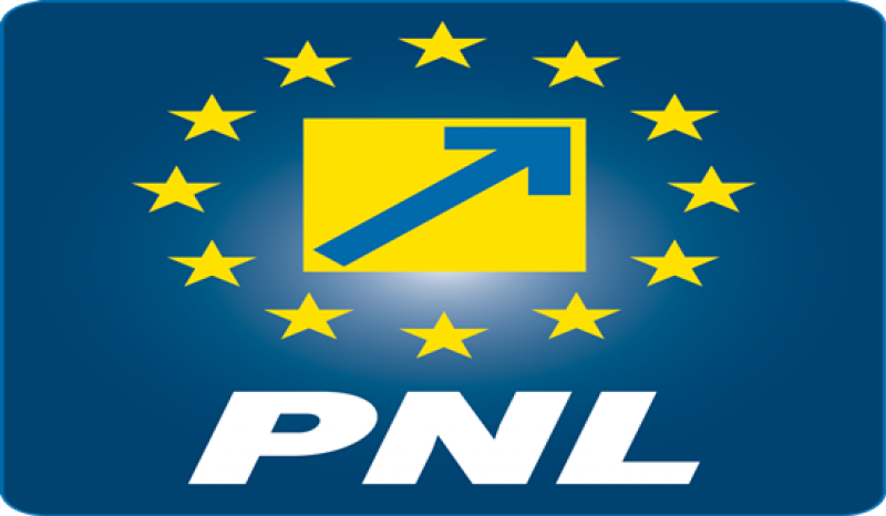 PNL: Programul de guvernare și formula politică propuse de premierul desemnat vor fi analizate cu seriozitate săptămâna viitoare