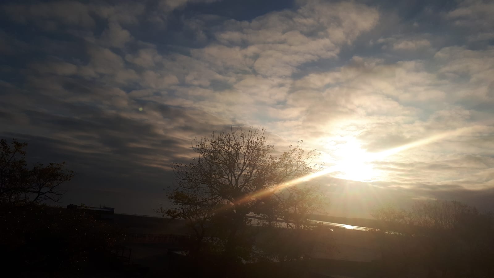 Vreme caldă în Dobrogea