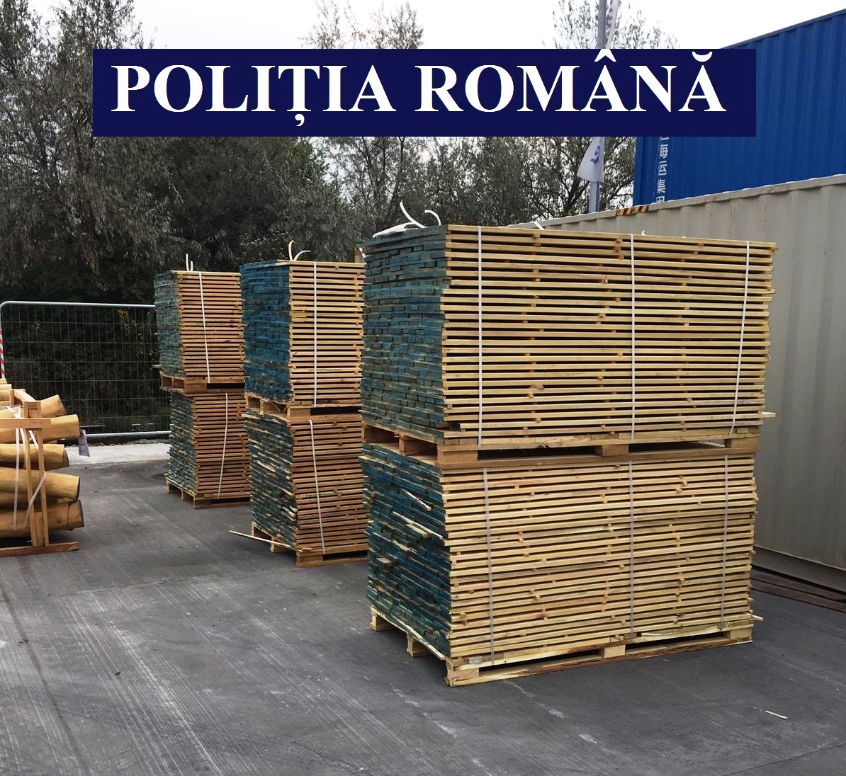 Polițiștii au ridicat peste 33 de metri cubi de material lemnos în urma unui control în Porturile Constanţa și Constanța Sud – Agigea – FOTO
